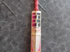 Ss English Willow Leather Bat