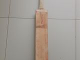 SS Master Bat