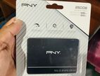 SSD PNY 256GB
