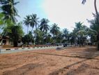 St Mary's Road - Wattala Uswetakeiyawa Land Plots for Sale