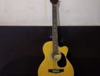 Semi Acoustic Guitar