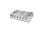 Stainless Steel Gas BBQ Grill 06 Burners