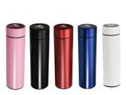 Stainless Steel Temperature Bottle (500ml)