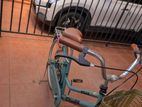 Stallion Ladies Bicycle