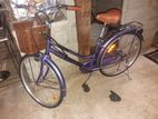Stallion Bicycle