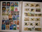 Stamps Collection