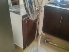 Stand Fan