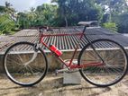 Standard Bicycle