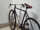 Standard bicycles
