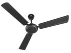 Standard Ceiling Fan