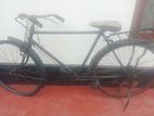 Standard Bicycle