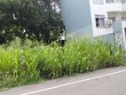 Standard Land for Sale Boralasgamuwa