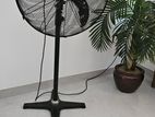 Standing Fan