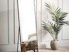 Standing Mirror 160*40