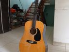 Starsun Acoustic guitar