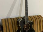 Starsun Acoustic Guitar