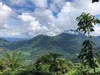 Land for Sale Yatiyantota