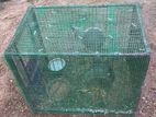 Steel Birds Breeding Cage