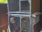 steel cage