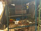 Steel Bird Cage