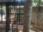 Steel Bird Cage