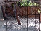 Steel Dog Cage