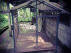 Steel Dog Cage