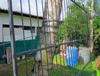 Steel Gate