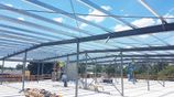 Steel Roof Building