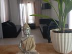 Stone Buddha Statue