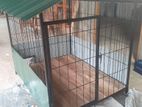 Strong Dog Cages Making