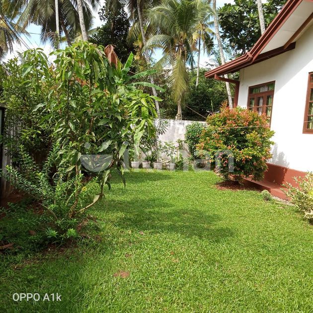 Strong Single Storied House For Sale Athurugiriya ikman
