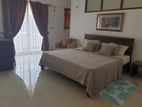 STUDIO APARTMENT FOR RENT OFF BASELINE ROAD COLOMBO 05 [ 1588C ]