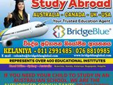 Study in Australia/ Canada/ UK/ USA
