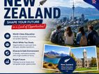 Study in New Zealand