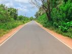 Land for Sale in Puthalam