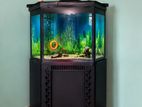 Stylish Corner Fish Tank