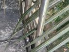 Stainless Steel Railings