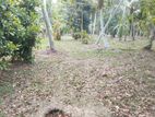 Suitable Land for Sale in Katunayake