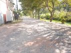 Suitable Land for Sale in Negombo