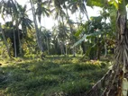 Suitable Land for Sale in Seeduwa