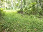 Suitable Land for Sale in Yatiyana