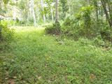 Suitable Land for Sale in Yatiyana