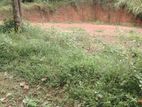 Land for Sale - Sulthanagoda