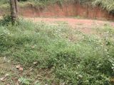 Land for Sale - Sulthanagoda