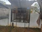 Sun Conure Birds Cage With Bird