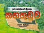 සුන්දර වෙල් යායකට මායිම්ව නිස්කලංක පරිසරයකින් අගනා බිම් කොටස්