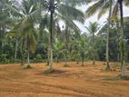 සුන්දර_වෙල්යායකට මායිම්ව පිහිටා ඇති මෙම වටිනා ඉඩම මැදගම්පිටිය