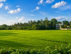 සුන්දර වෙල්යායකට මුහුණලා වටිනා බිම් කොටසක් කහතුඩුවවෙන්
