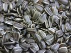 Sunflower Seeds